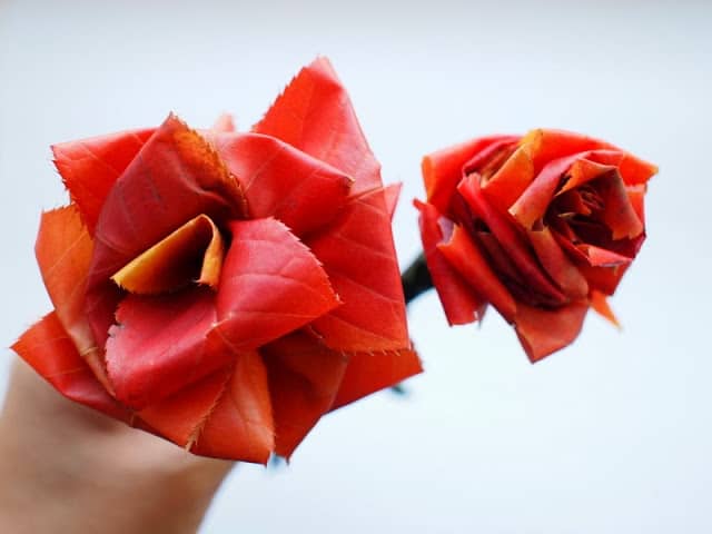1 Making roses out of autumn leaves