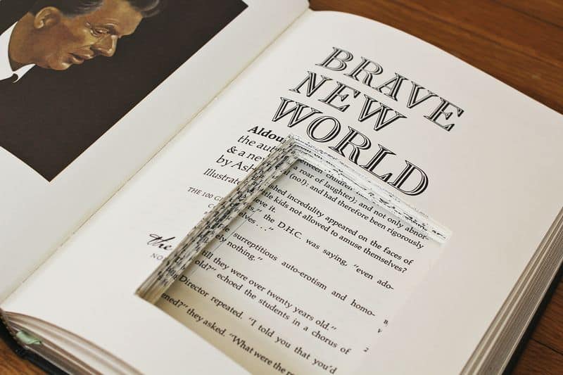 6a00d8358081ff69e2019aff0e7b69970c-800wi