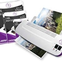 Purple Cows Hot and Cold 9