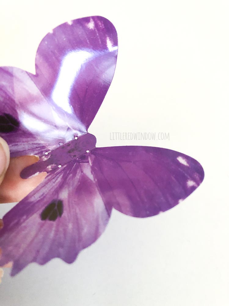 Attach the butterflies to your butterfly garden costume with a few stitches with needle and thread through the body of the butterfly!