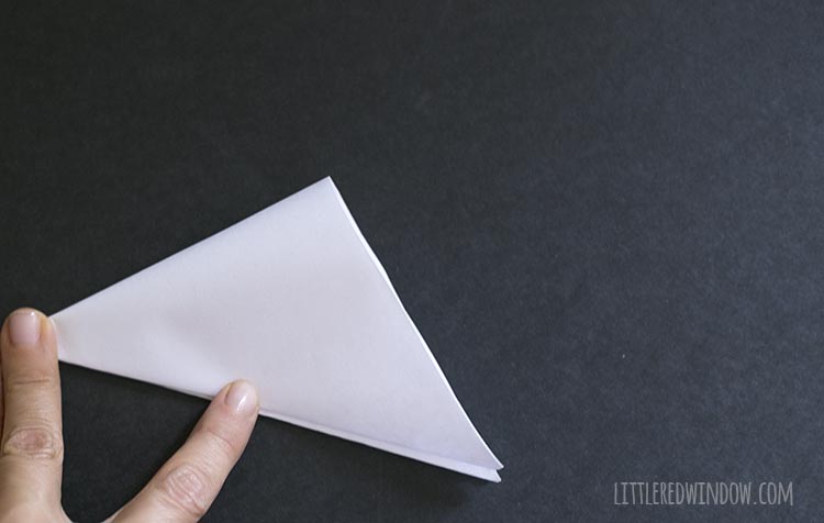 hand holding folded triangle of paper