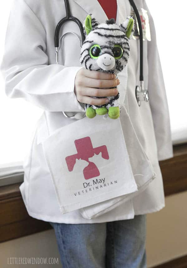DIY Veterinarian Costume, perfect for your little animal lover for Halloween! | littleredwindow.com