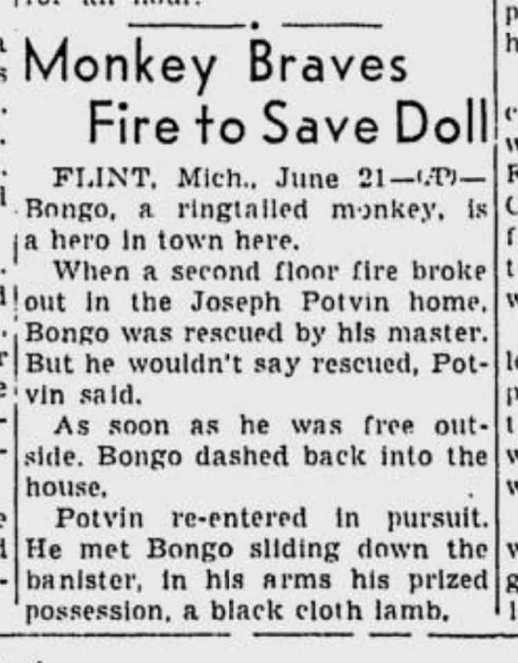 How to Print Old Newspapers for Crafts and Gifts!