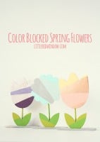 Colorblocked Spring Flowers