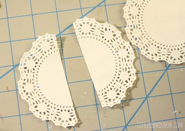 paper doily cut in half