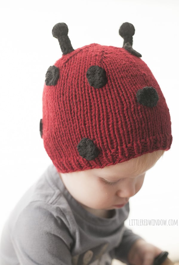Little Ladybug Hat Knitting Pattern for babies! | littleredwindow.com