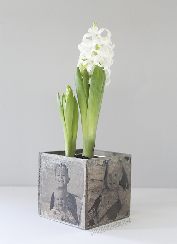 DIY Photo Planter, transfer cute family photos to this adorable wood planter, it's a perfect gift for Mother's Day! | littleredwindow.com