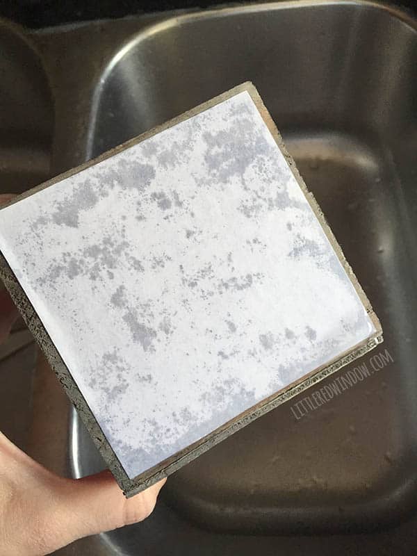 DIY Photo Planter, transfer cute family photos to this adorable wood planter, it's a perfect gift for Mother's Day! | littleredwindow.com