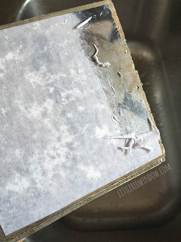 DIY Photo Planter, transfer cute family photos to this adorable wood planter, it's a perfect gift for Mother's Day! | littleredwindow.com