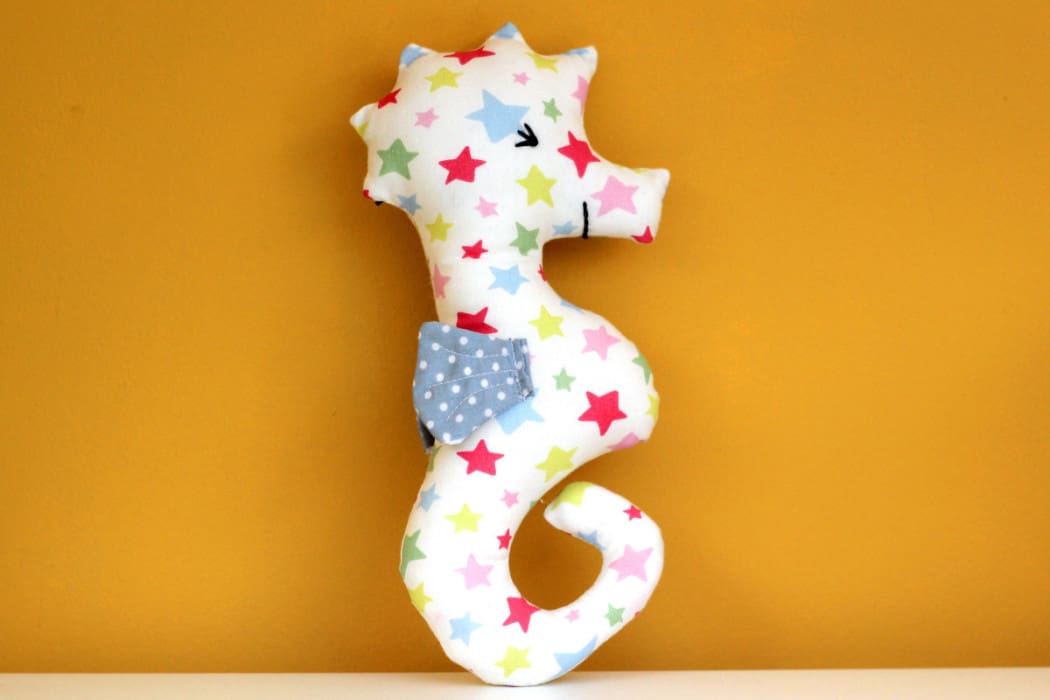 seahorse-28-web-1050x700