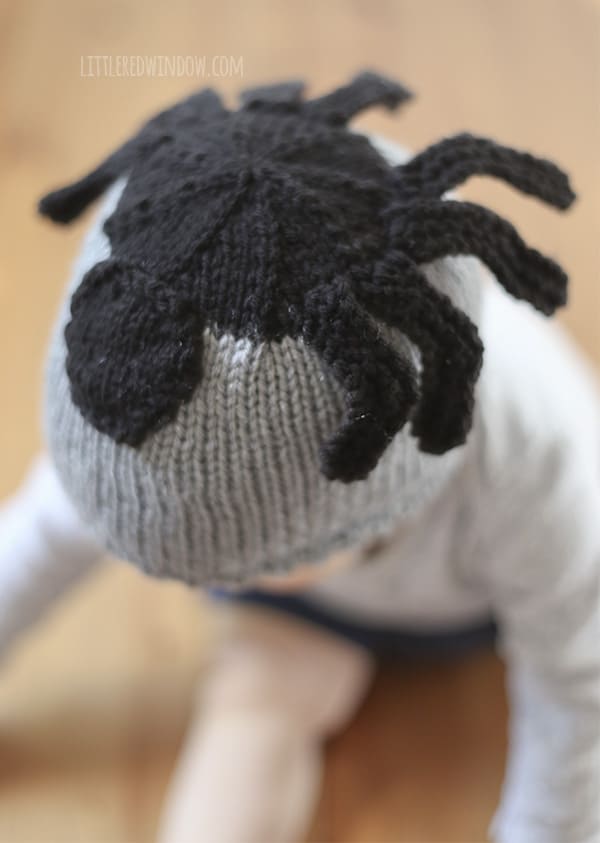 Silly Spider Hat Free Knitting Pattern for newborns, babies and toddlers!! | littleredwindow.com