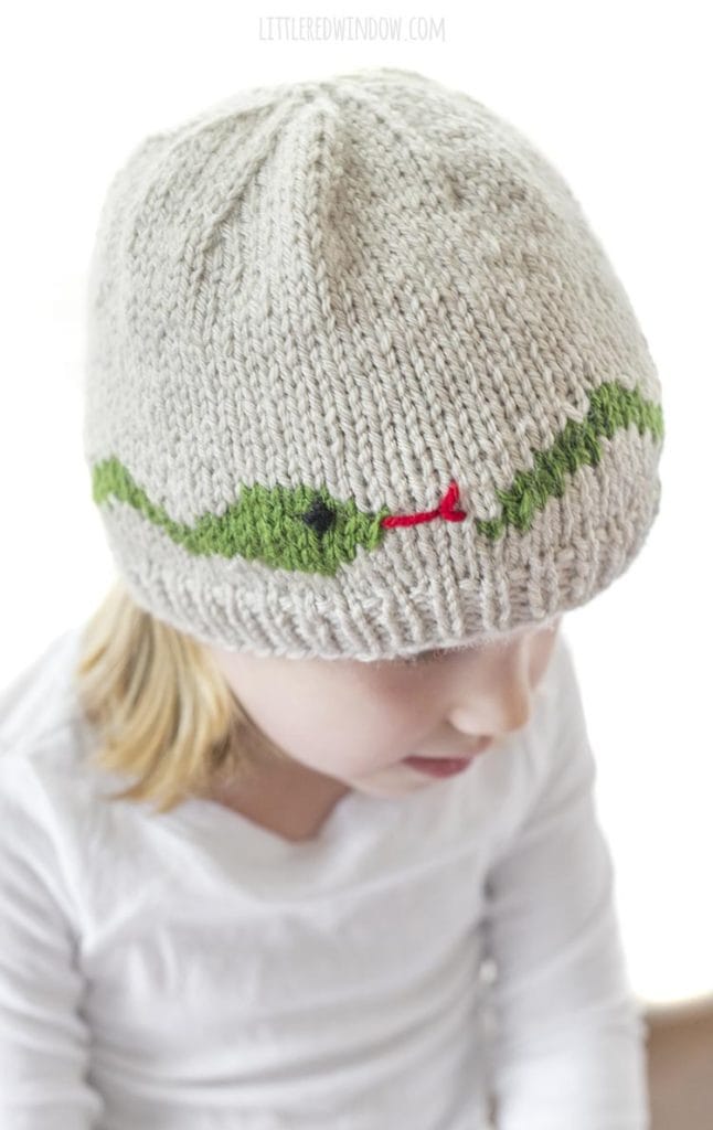 closeup of snake head and tail with embroidered red forked tongue and black french knot eye